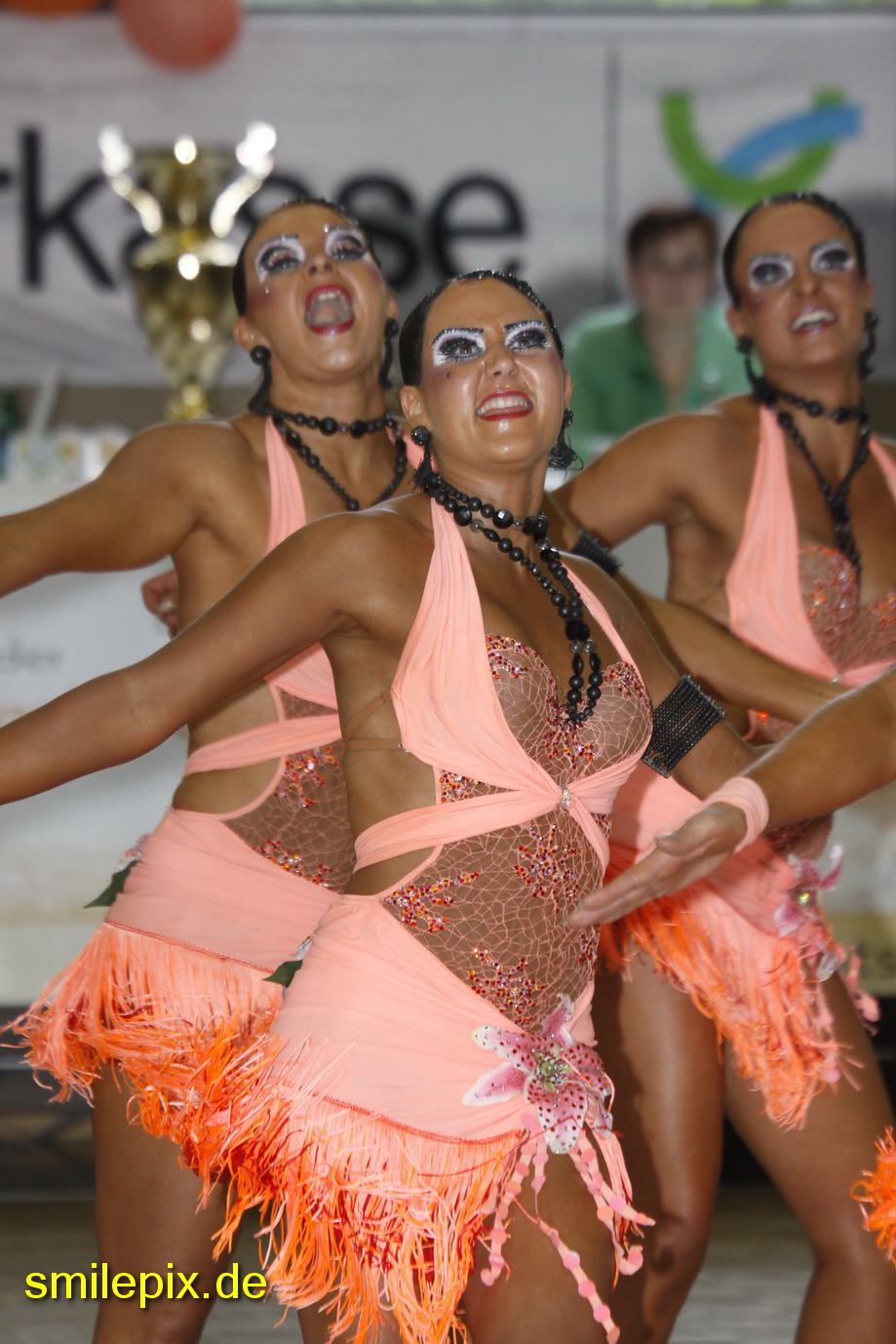 Nienburg 30.05.09 (1083)